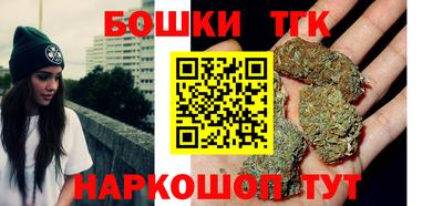 индика Ирбит