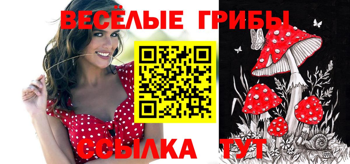 Галлюциногенные грибы Cubensis  Вход с VPN  Краснодар 