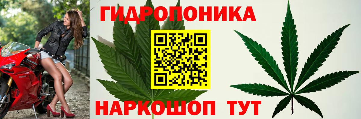 Канабис план  Бошки Шишки Bruce Banner  Краснодар  Вход с VPN 